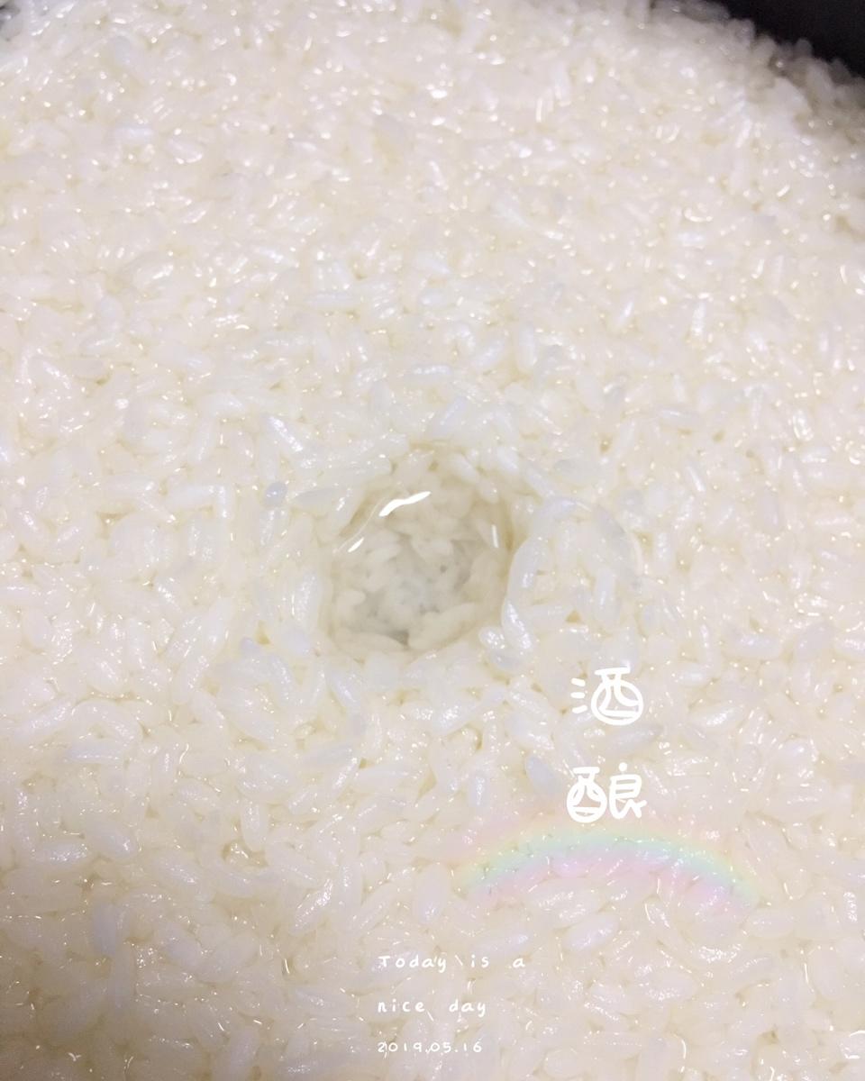 酒酿 (酒酿系列一）