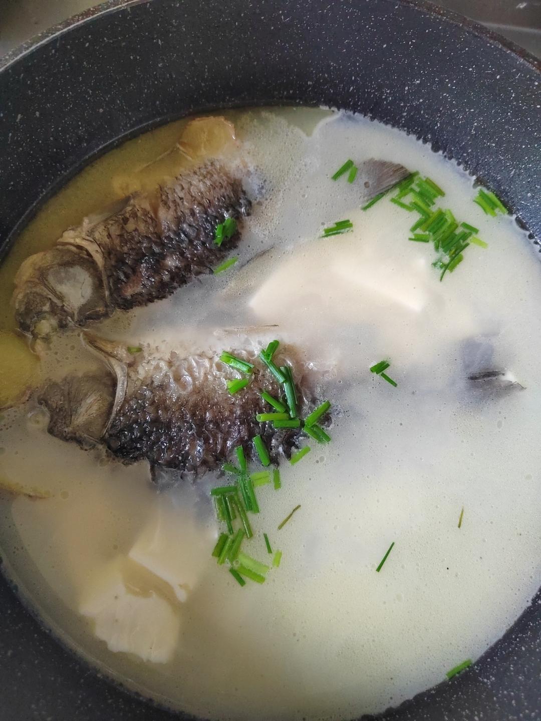 奶白鲫鱼豆腐汤|一条鱼最后的温柔