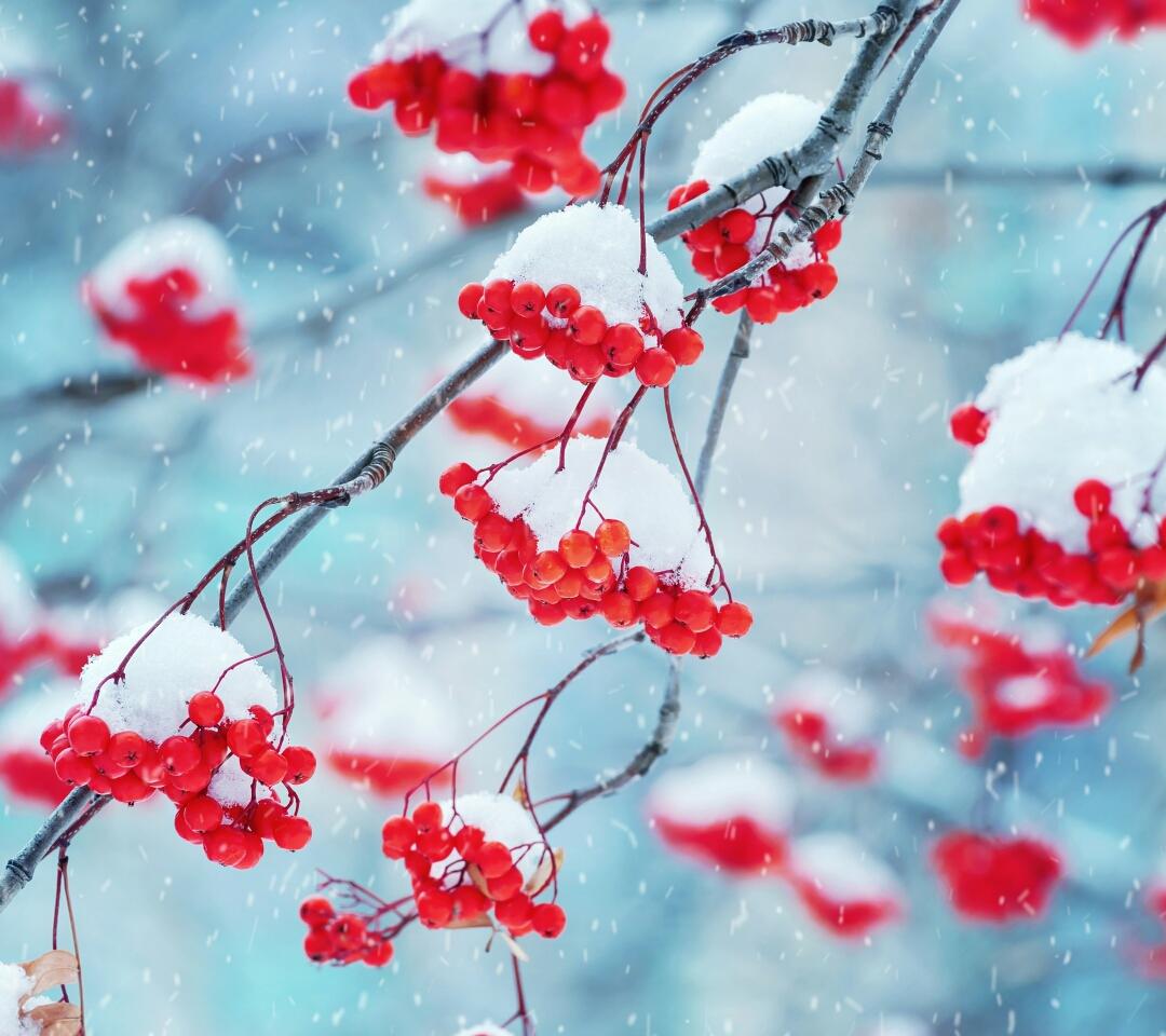 晚来天欲雪，能饮一杯无