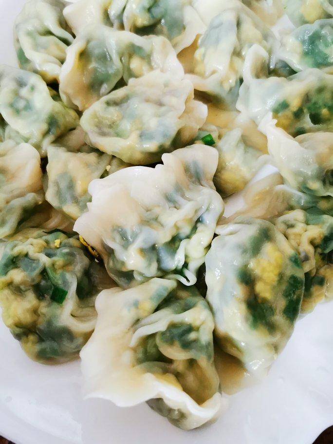 猪肉韭菜饺子