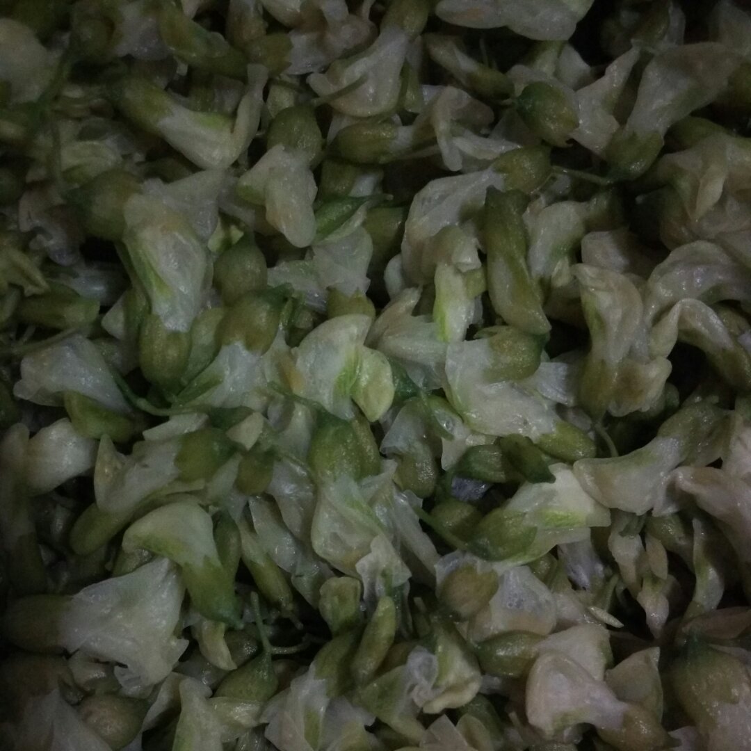 如何保存新鲜槐花