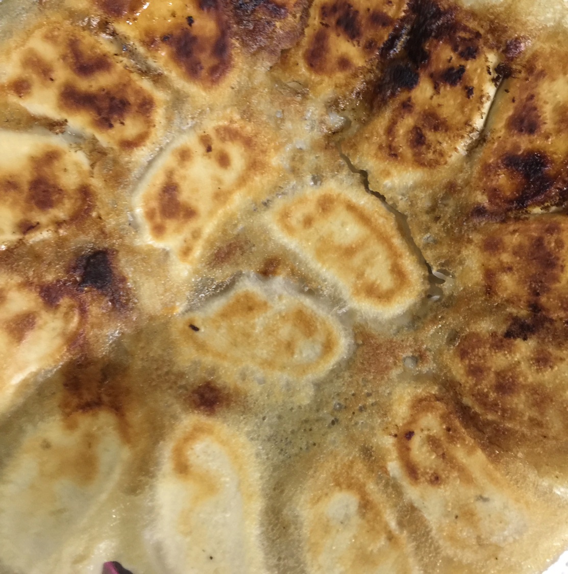 锅贴饺子
