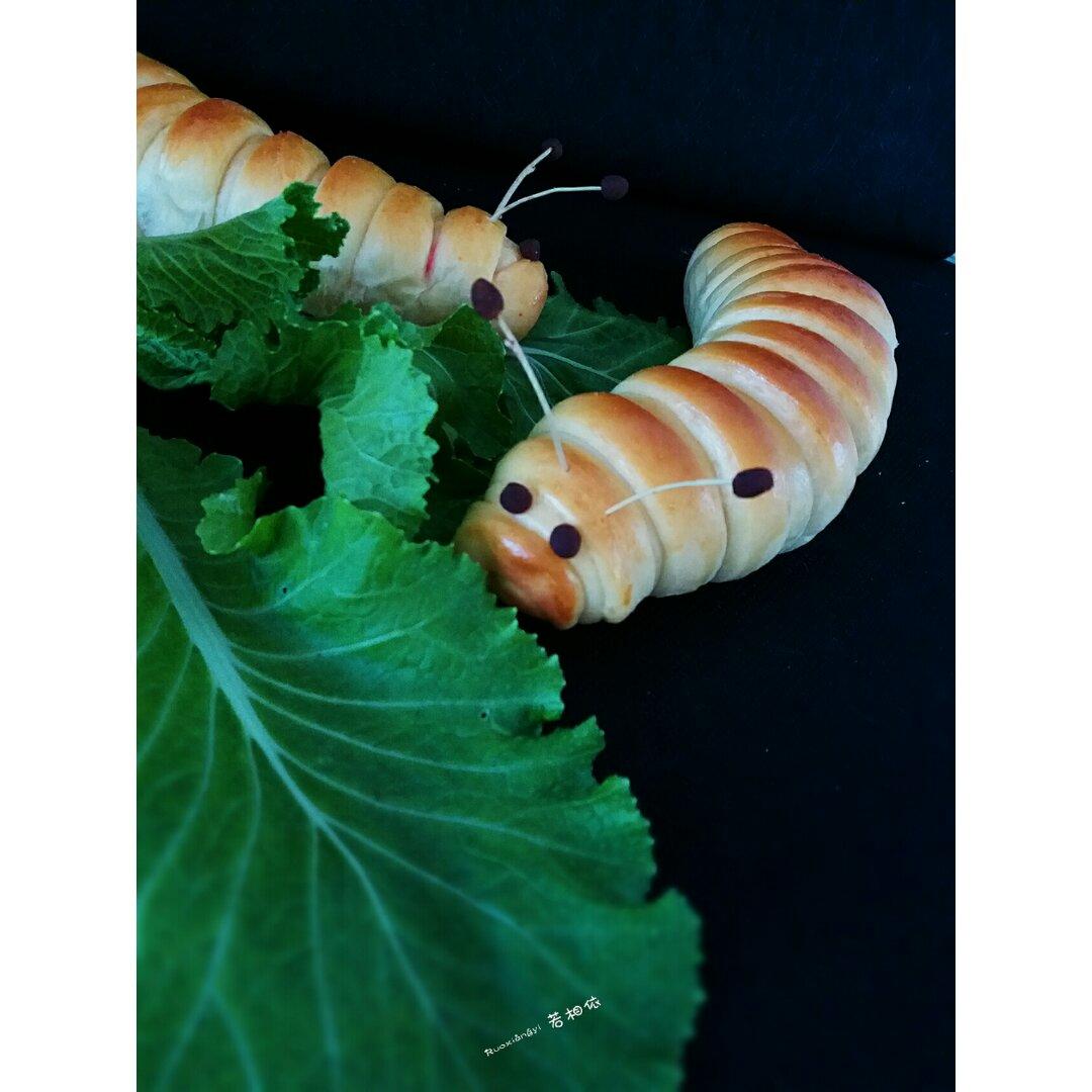 萌萌哒毛毛虫面包