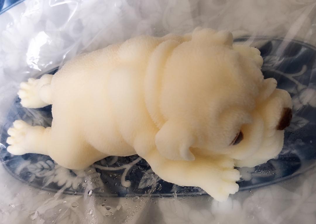 网红慕斯狗（琴姐）