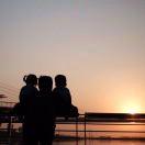 大猫吃肉不吃鱼