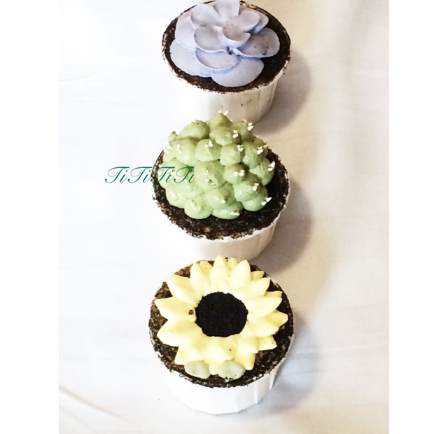 Petit Gateaux