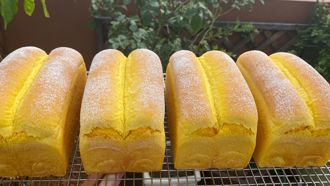 软绵绵的黄金南瓜吐司