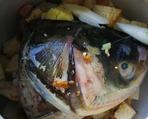 砂锅鱼头🐟炖豆腐（胖头鱼豆腐）的做法 步骤7