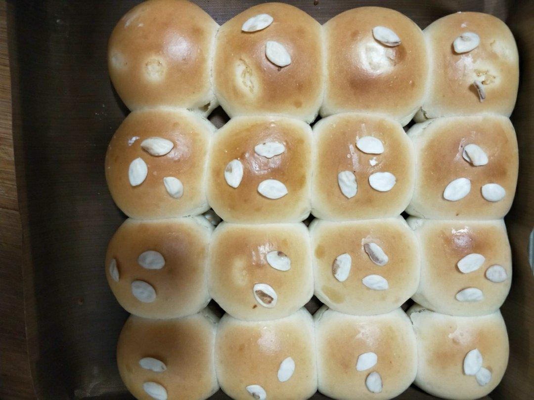鲜奶油小餐包（一次发酵）