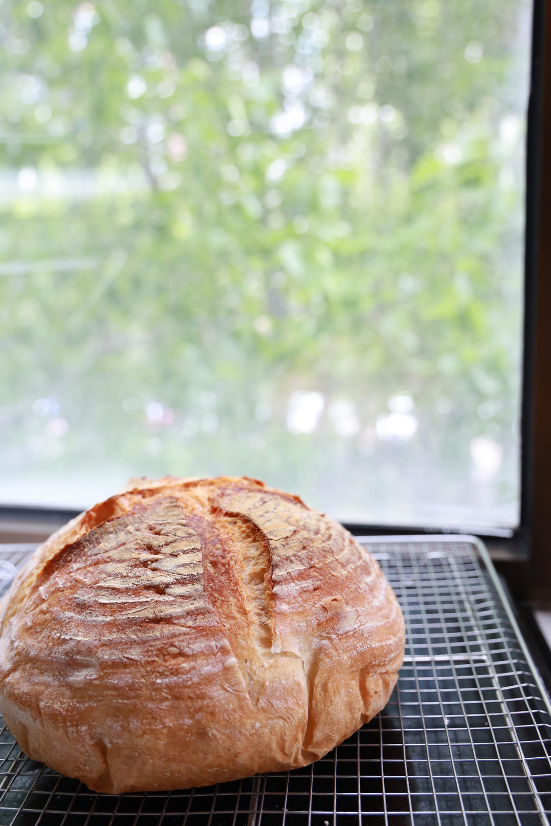 免揉乡村欧包—爱和自由配方