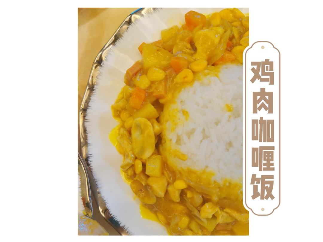 一学就会的土豆鸡肉咖喱饭
