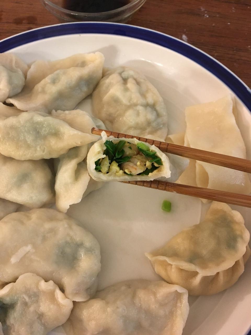 韭菜素饺子