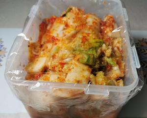 传统韩国泡菜Kimchi韩国辣白菜的做法 步骤7