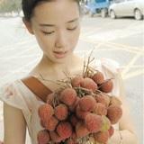 弗兰德林美丽