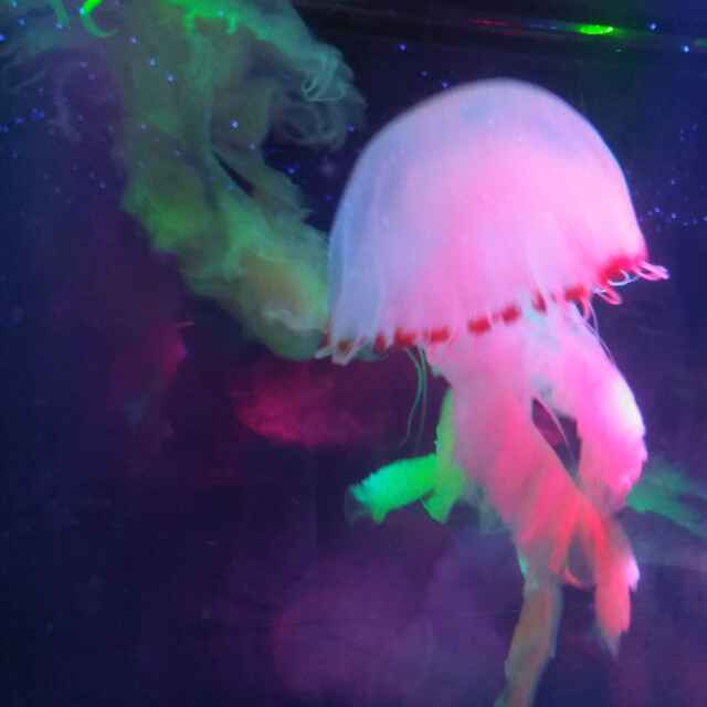 晴美_0b9j