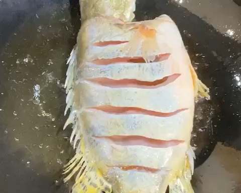 超级下饭的干烧鲈鱼的做法 步骤2