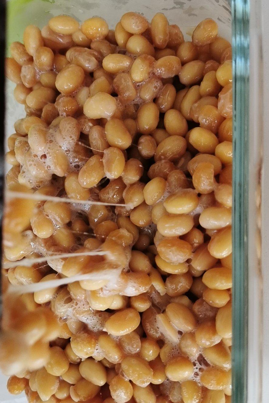 自制纳豆