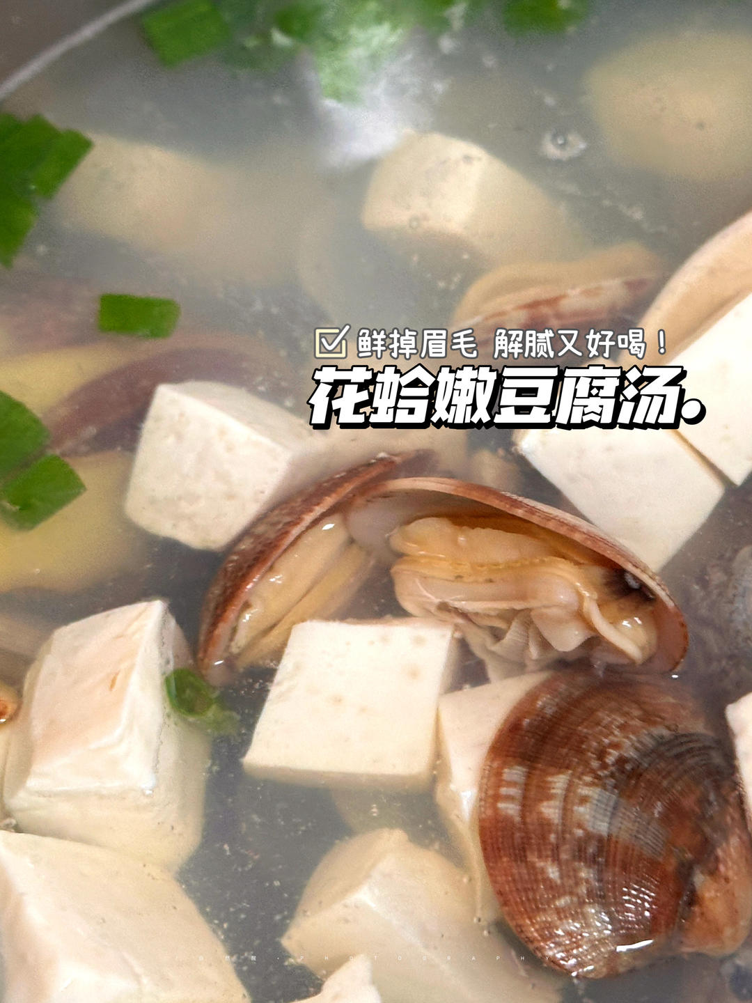 花蛤嫩豆腐湯.