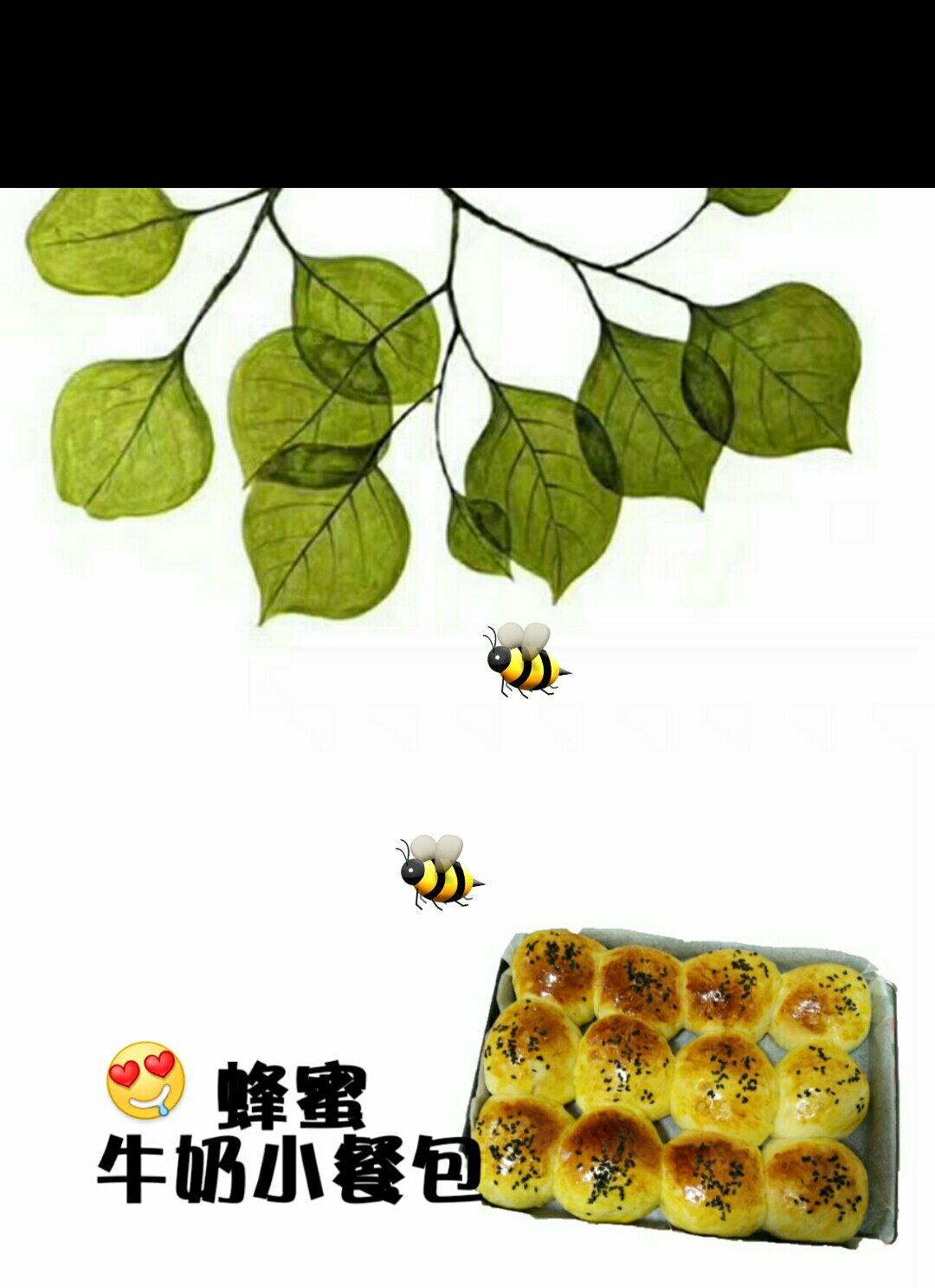 大人小孩都爱不释口的【蜂蜜牛奶小餐包】