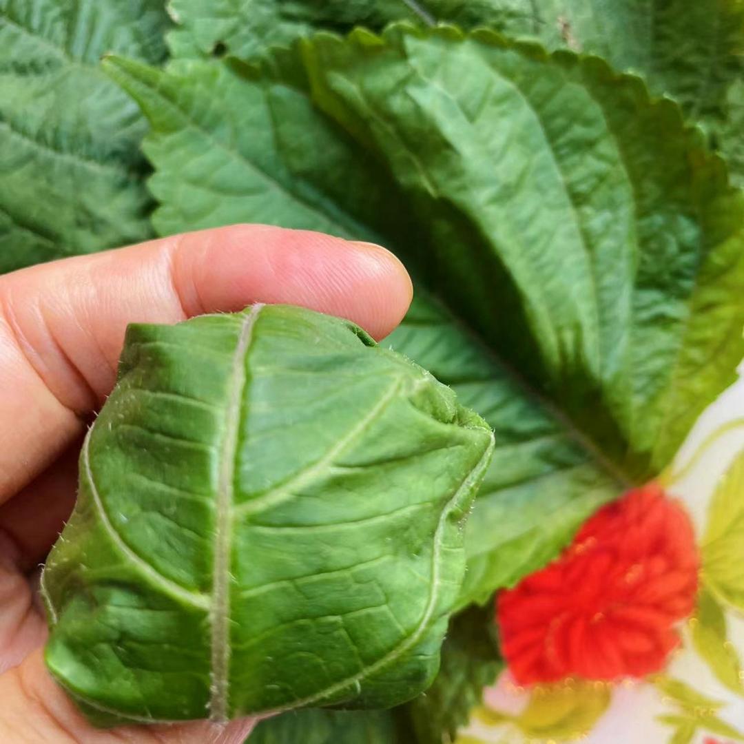 鳕鱼苏子叶饭团
