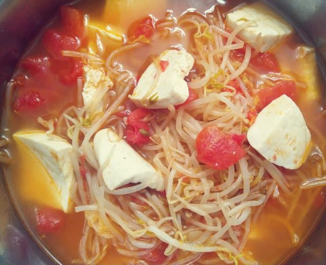 番茄豆芽豆腐汤的做法