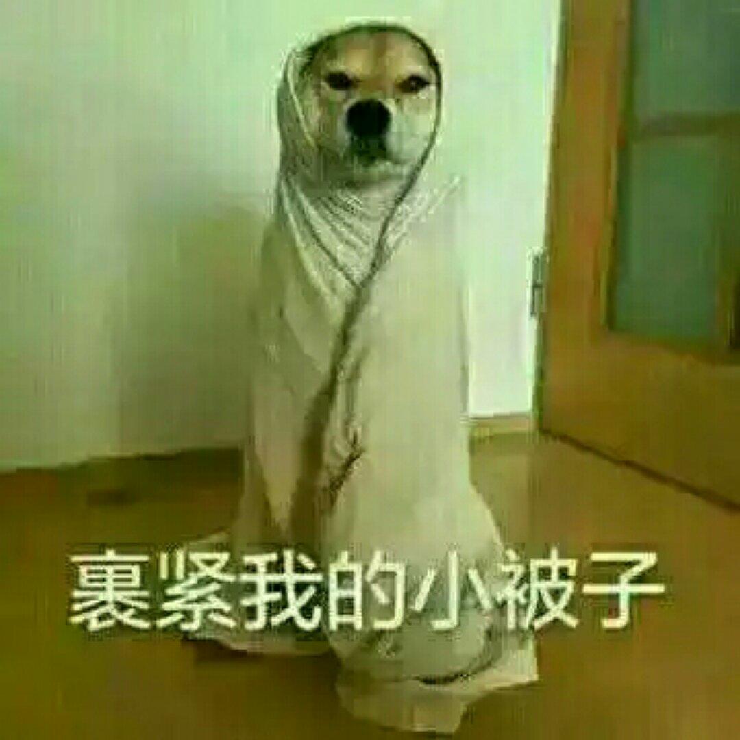 陈虞
