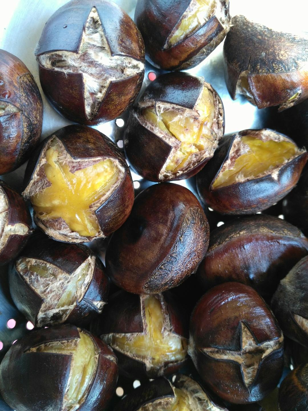 慵懒美丽的栗子