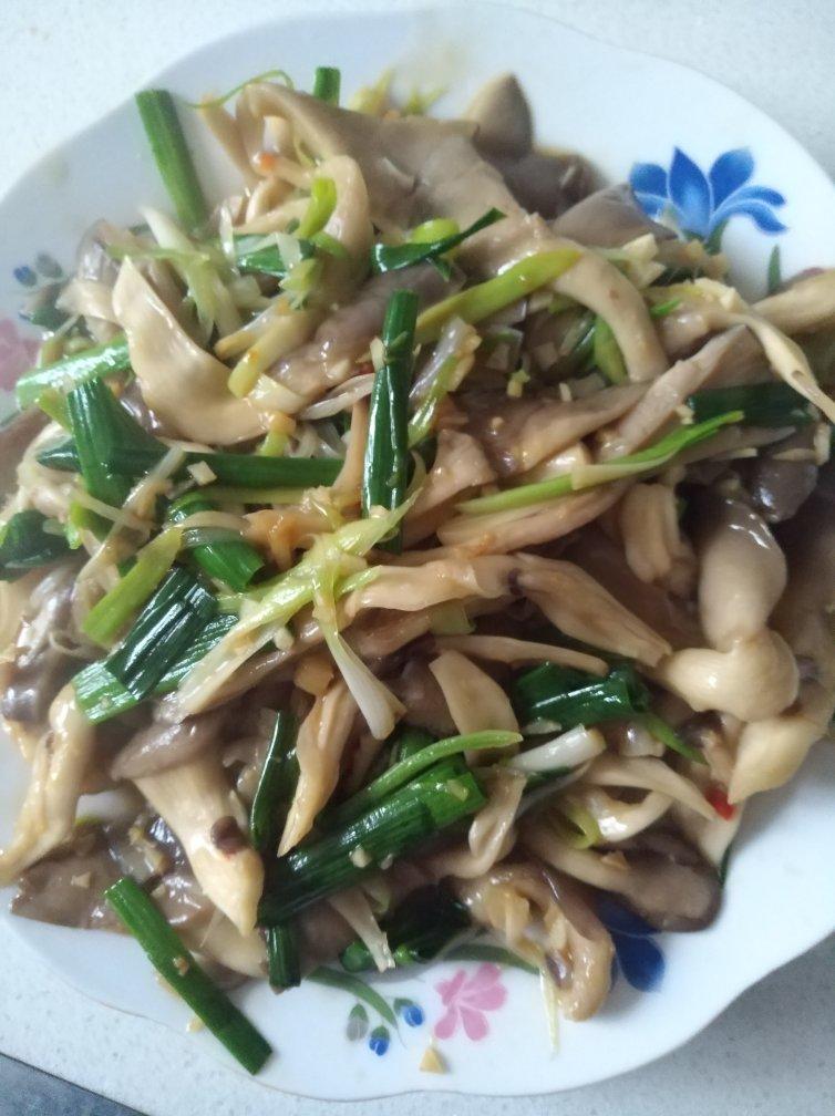 素炒平菇