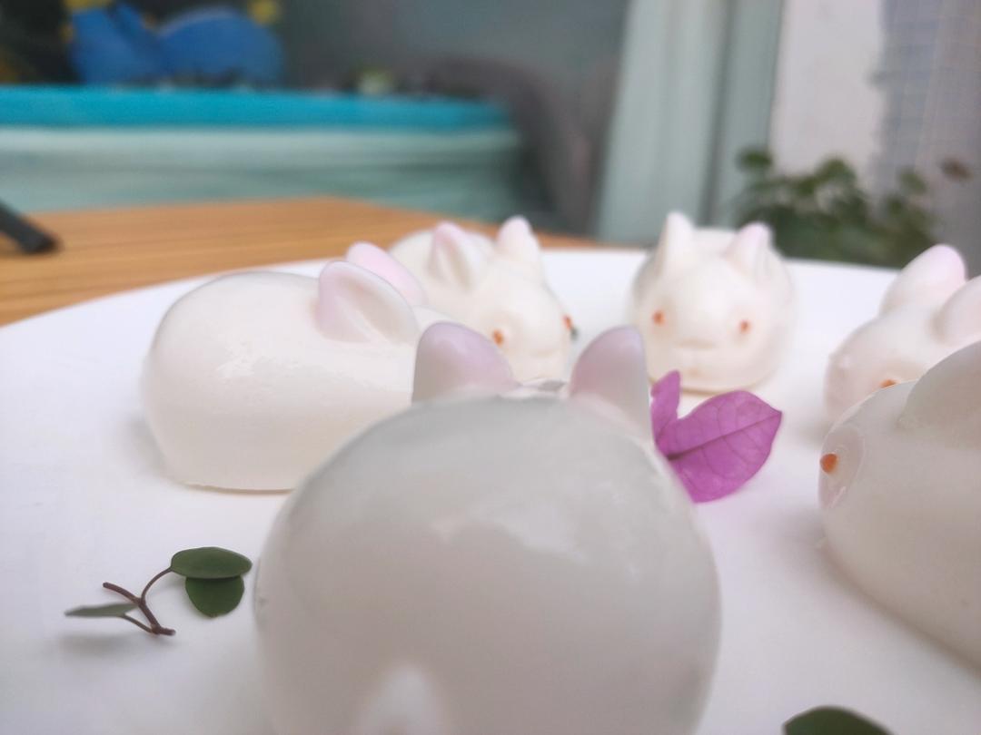 小兔子奶冻🐰
