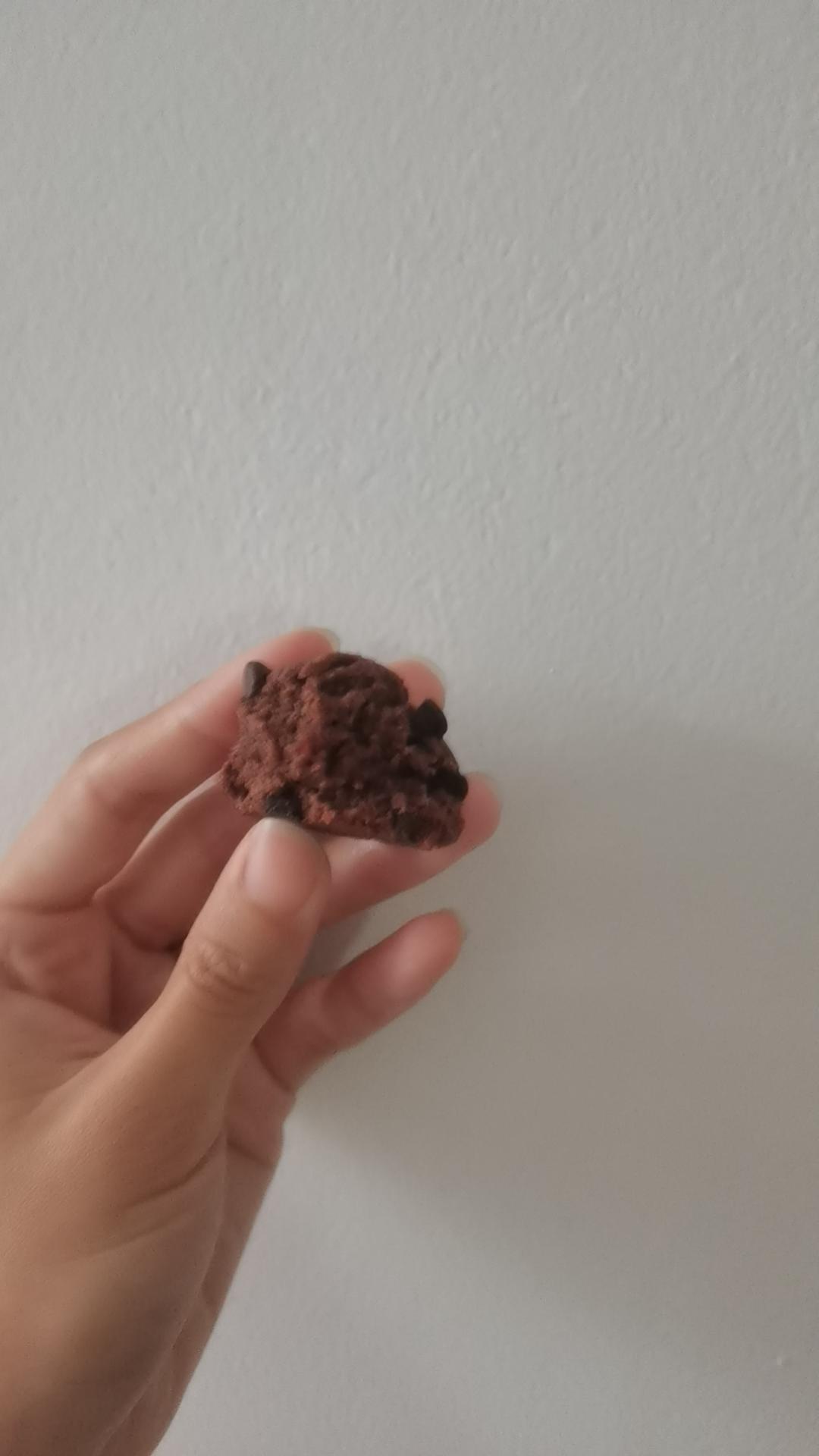 比趣多多还要好吃“巧克力豆曲奇饼干”