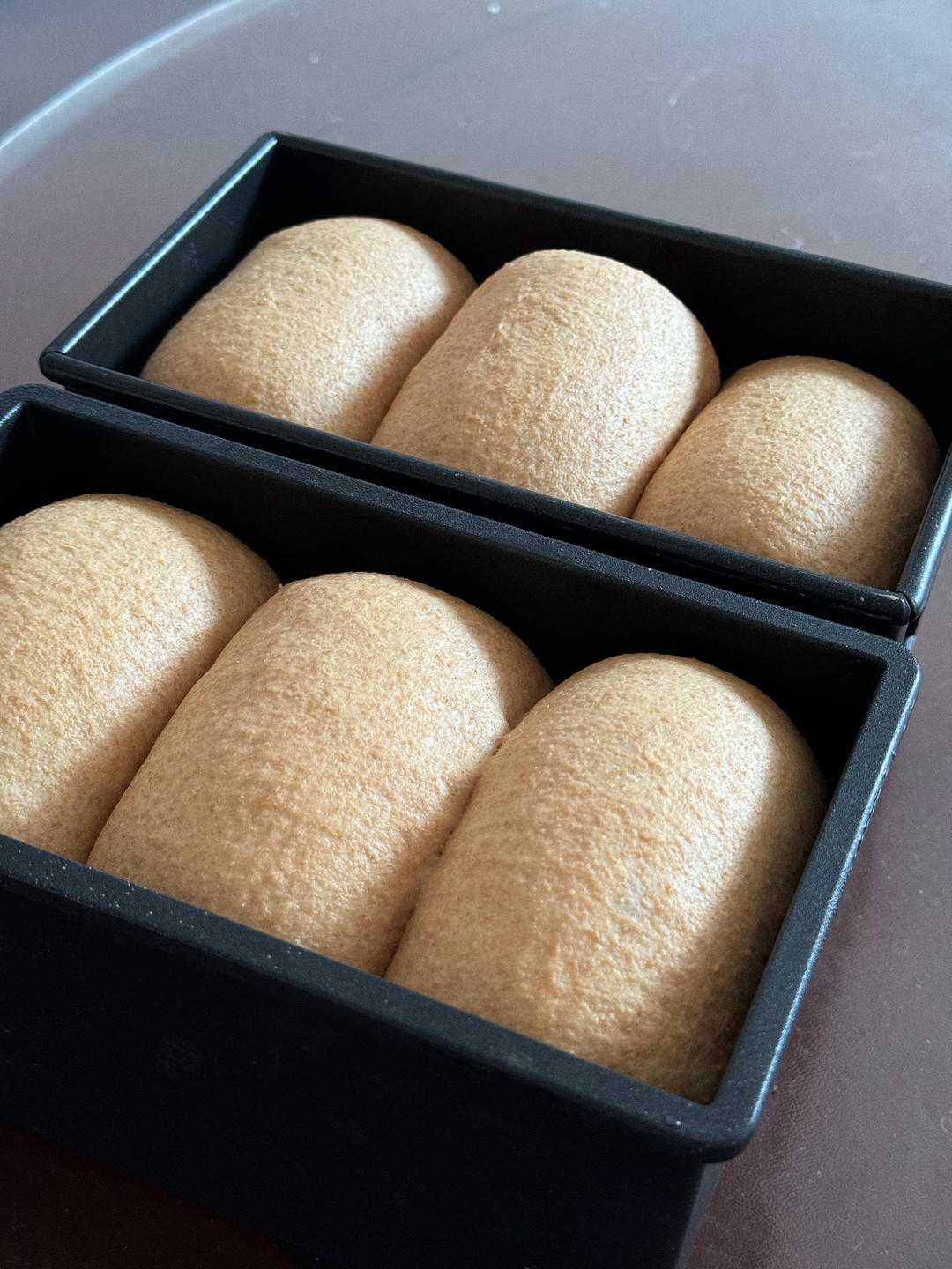 全麦吐司（无糖无油）