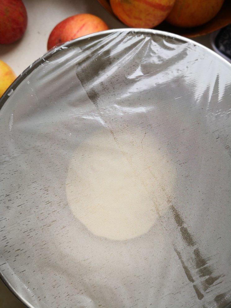 适用所有面包的中种面团