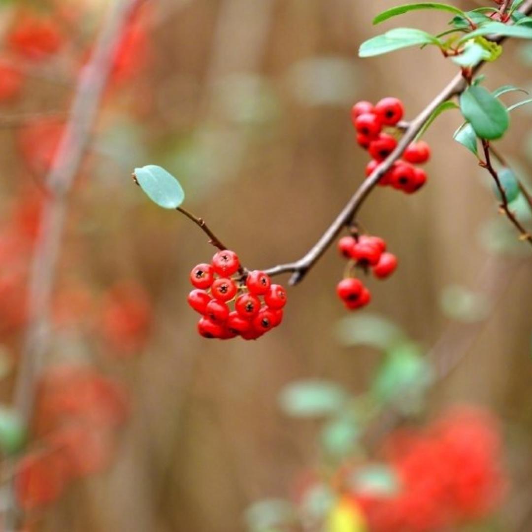 厨房里的小欢喜