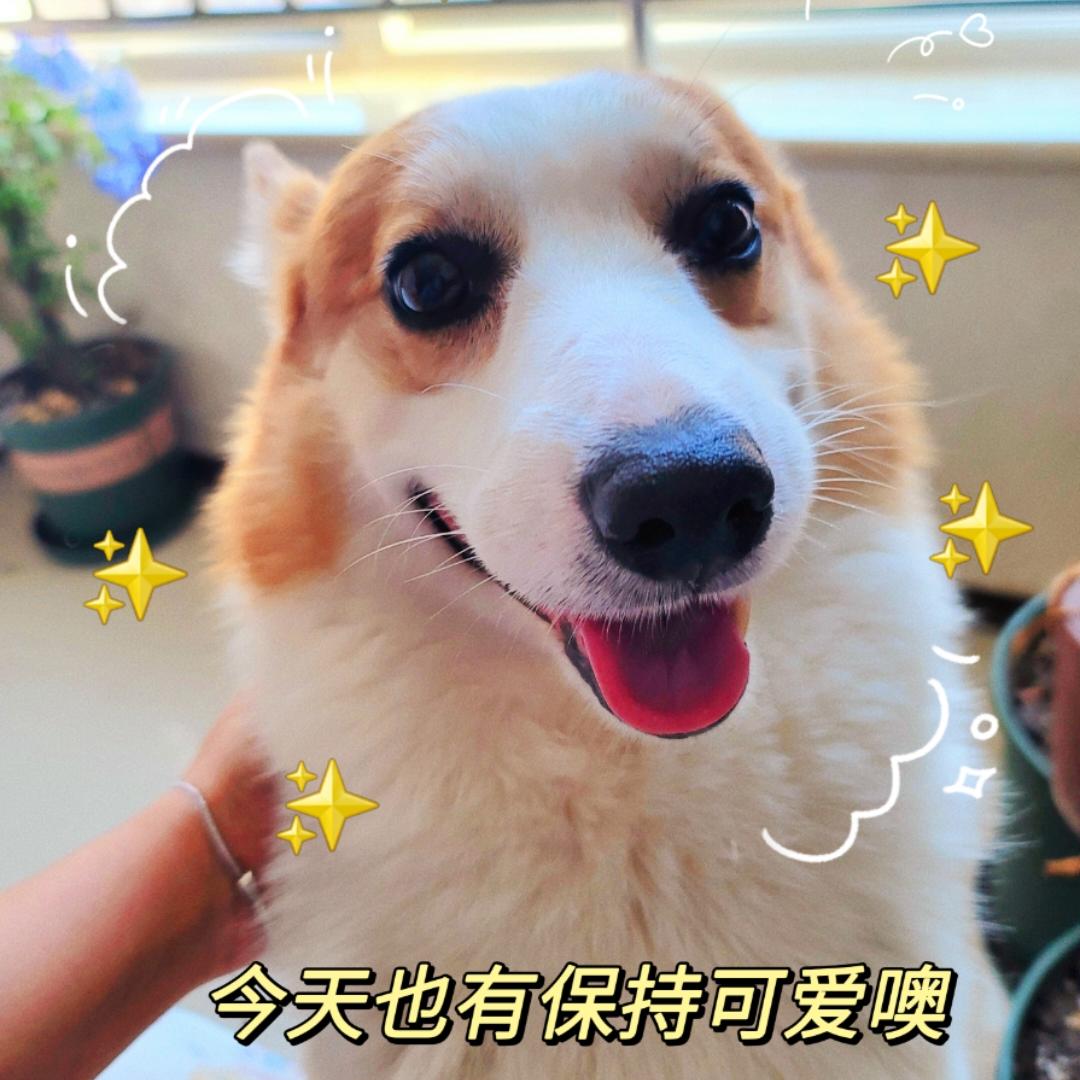 全国软妹代表