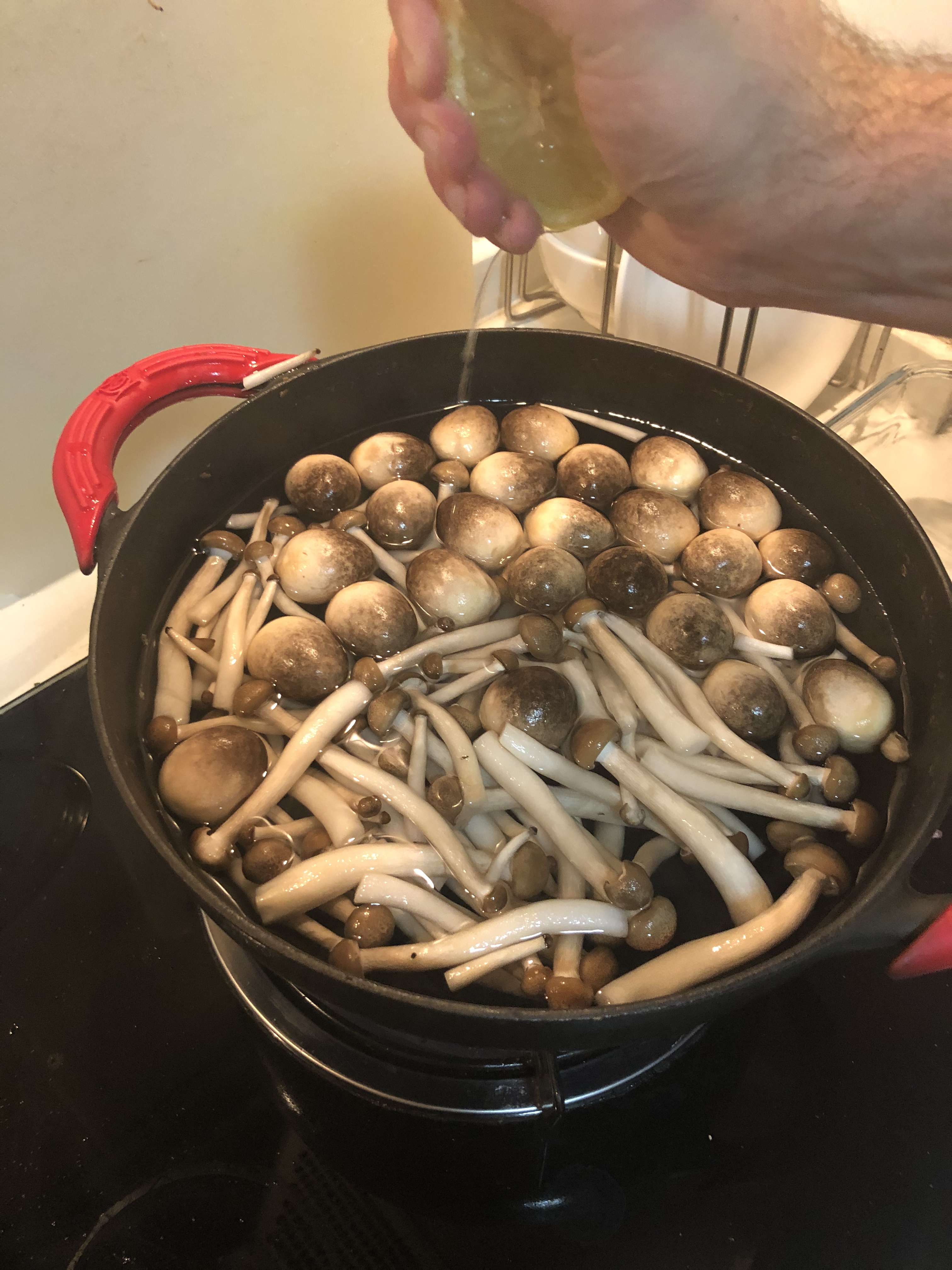 一周成功！美式Pickled Mushroom 🍄 腌蘑菇，Martini 最佳garnish的做法 步骤2