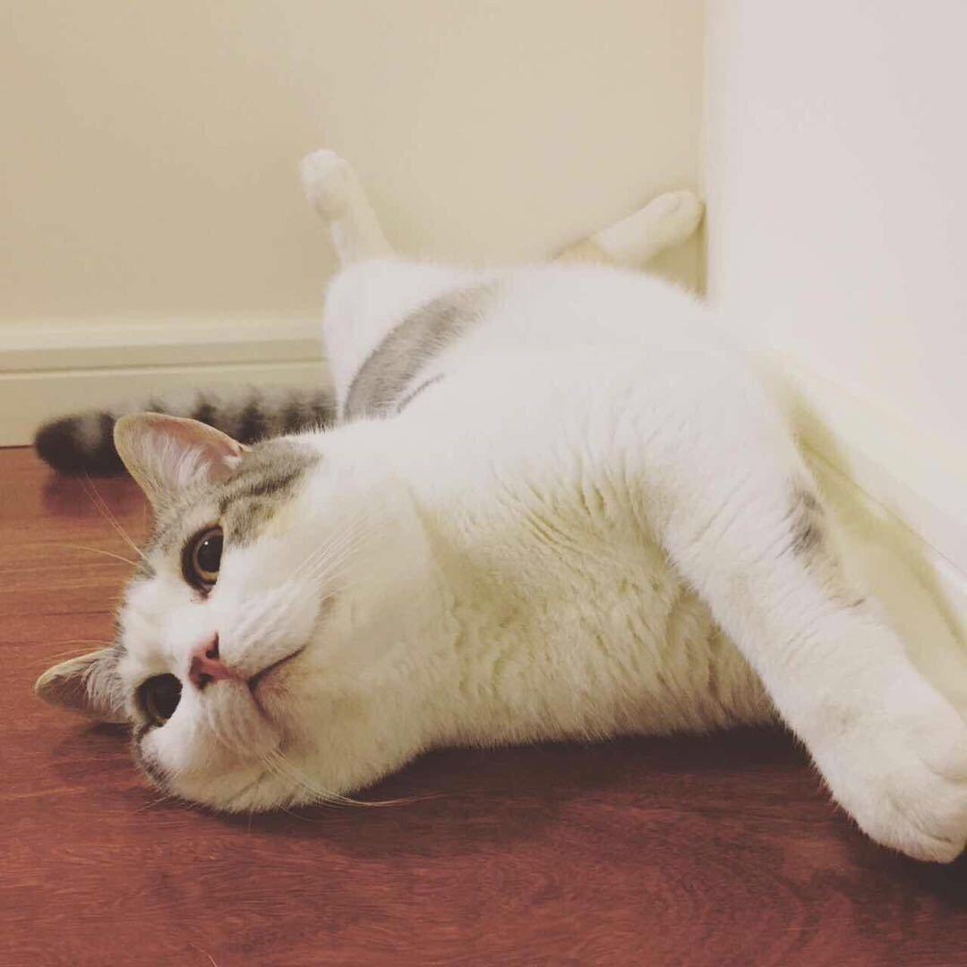 汤汤汤圆儿儿儿