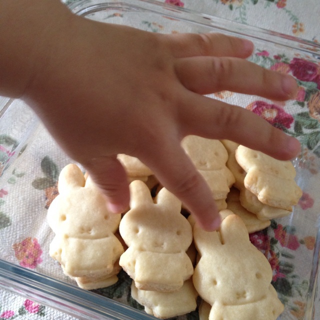 牛奶方块小饼干