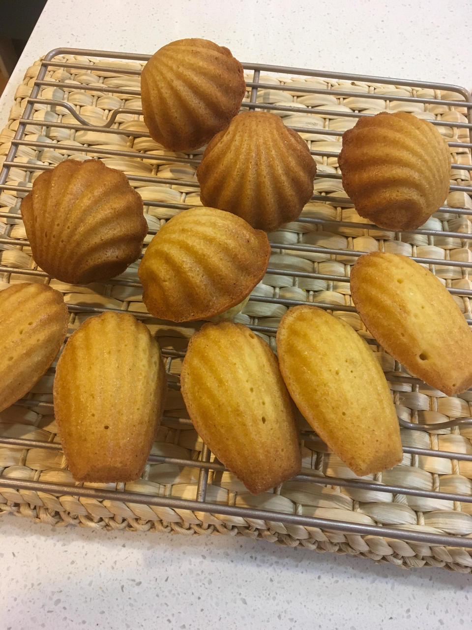 玛德琳（蓝带方）