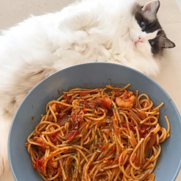 虾仁番茄意大利面