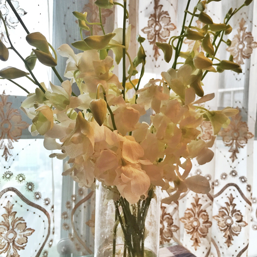 blue star少女杂货铺