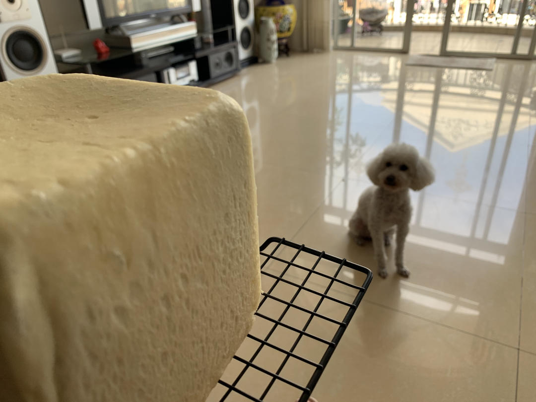 清香柔软的抹茶红豆吐司