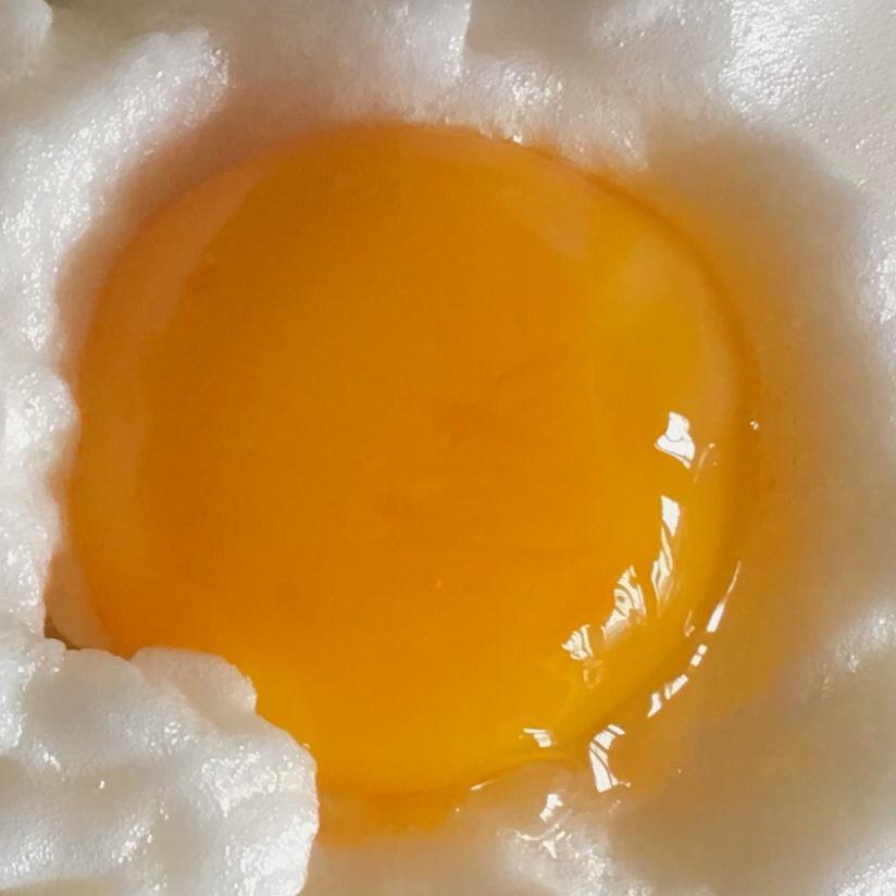 青山上的一朵小菊花