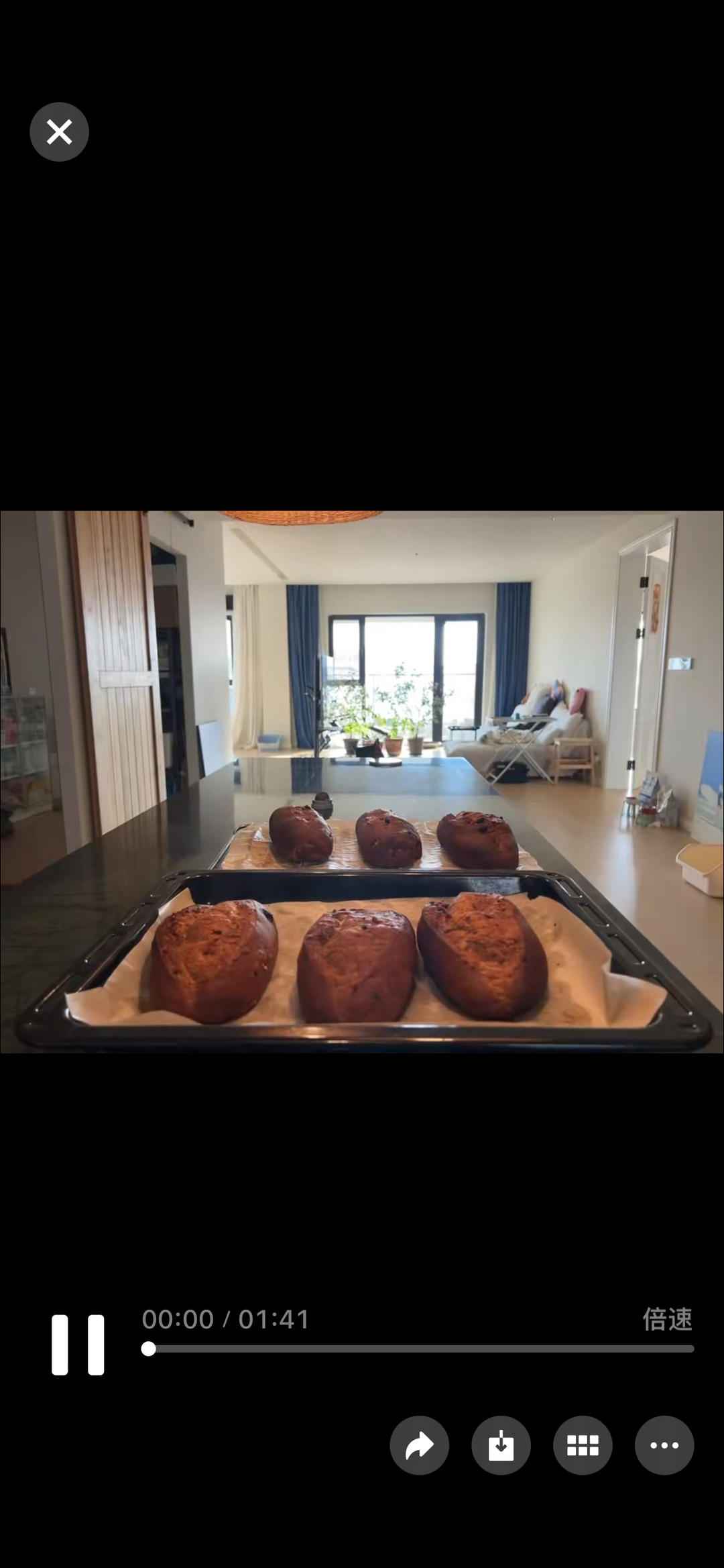 葡萄干核桃软欧包