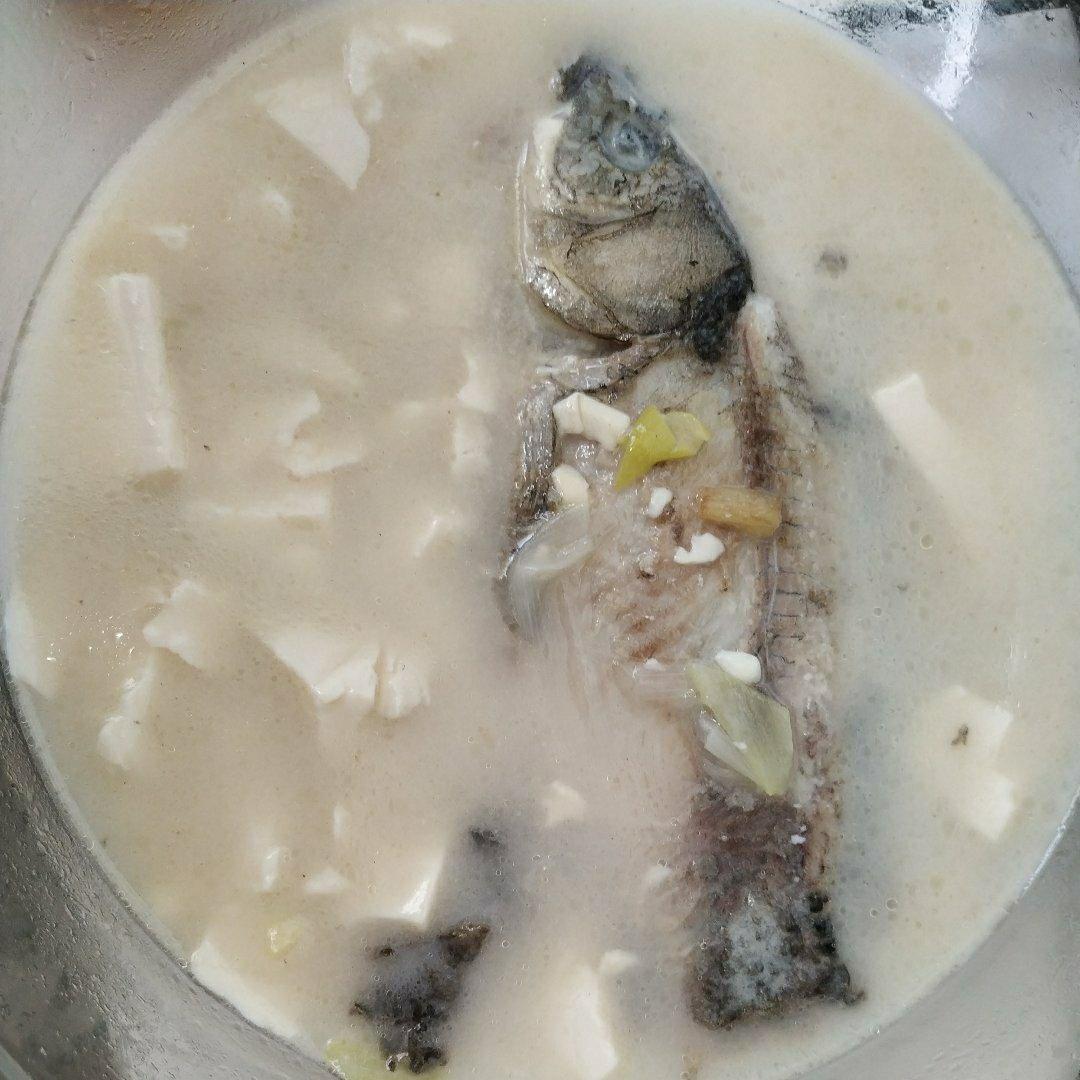 奶白鲫鱼豆腐汤|一条鱼最后的温柔