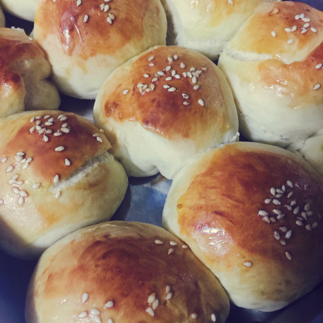 鲜奶油小餐包（一次发酵）