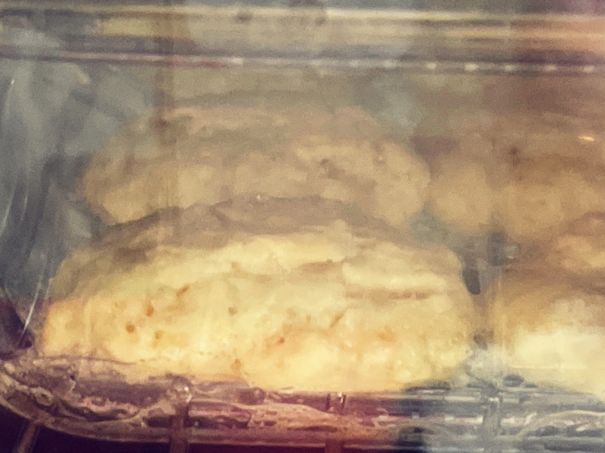 无黄油版酥脆小饼干（简单易上手）-烤箱版食谱