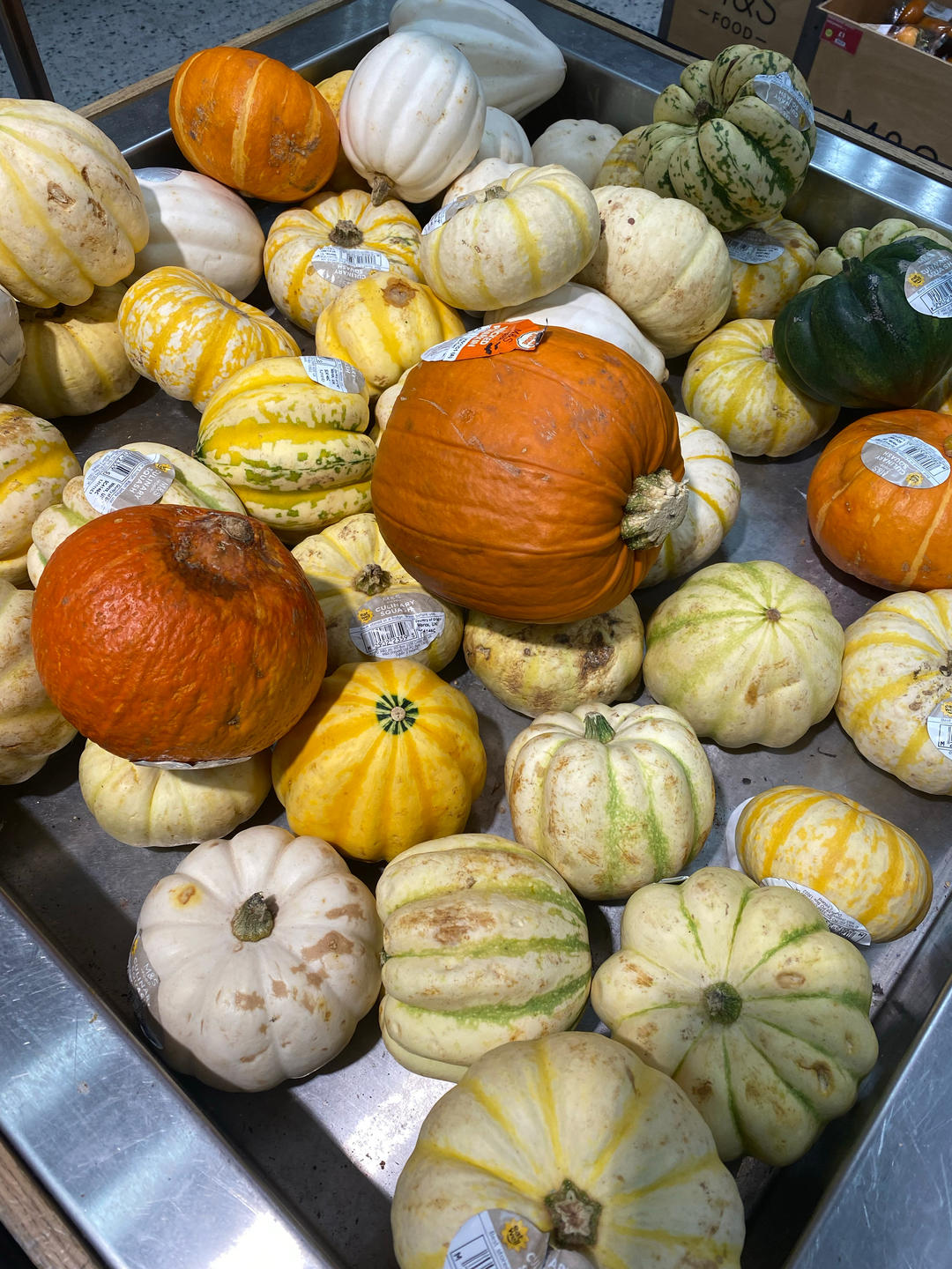 🎃奇异南瓜大汇集🎃