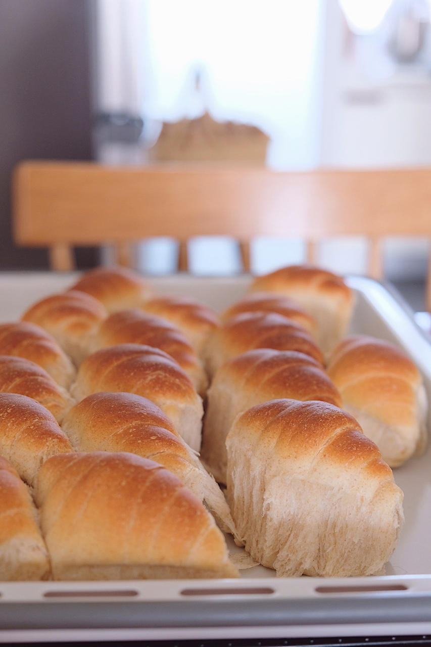 “揪揪家族”之全麦小揪揪