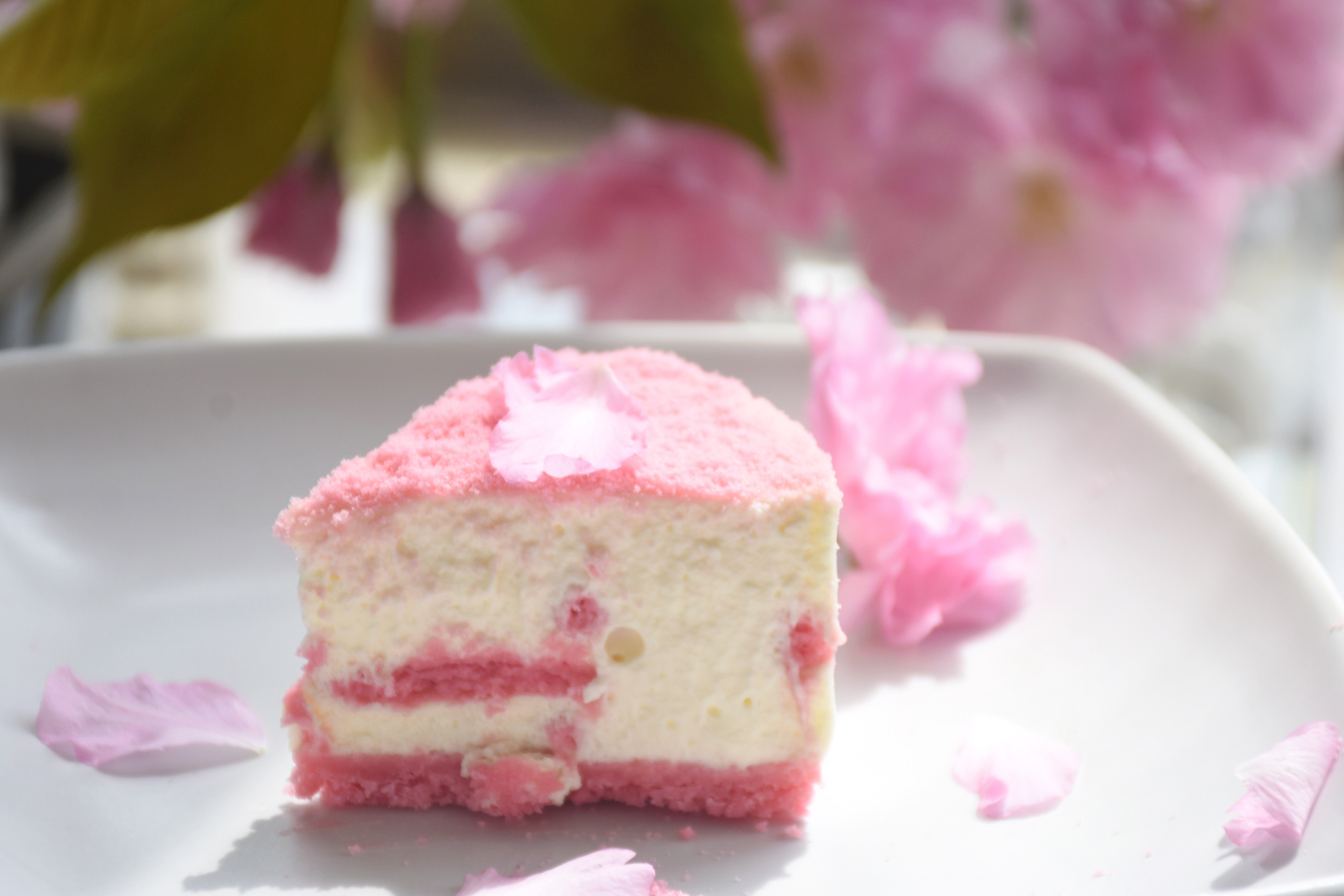 超美的樱花奥利奥芝士蛋糕