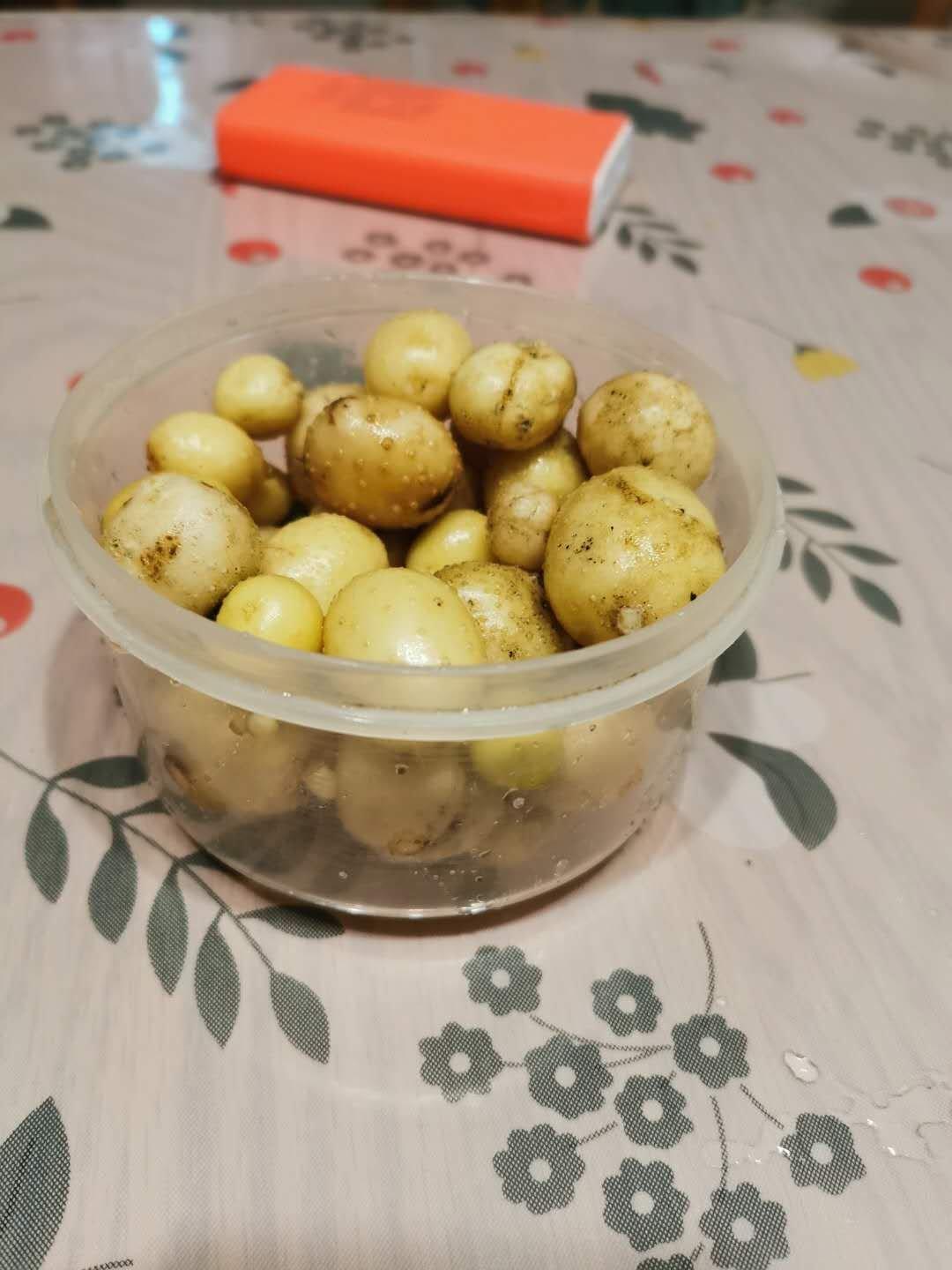 土豆丸子